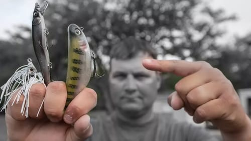 3 FREE Bass Fishing BAITS - Cajun Baby Cliff Crochet Top Picks