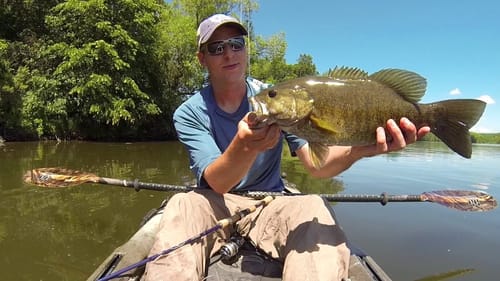 Mayfly Hatch Smallies