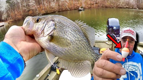 This Slip Bobber & Live Minnow Setup Catches Giant Crappie!