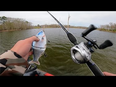 Spring Bassin' an Old Backwater Pond For Pre-Spawn BIGS!