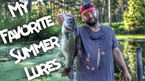 My Favorite Summer Bass Fishing Baits and Lures