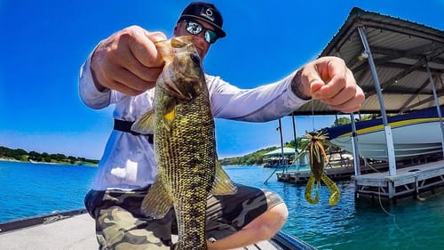 Stroker Craw + Finesse Jig Fishing For Post-Spawn MULTI SPECIES BASS! HYPER SENSITIVE UNICORN ROD