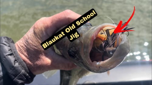 Bassmaster Open/ Cherokee Lake…Final Practice Day Report