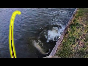Fishing for URBAN POND MONSTERS!