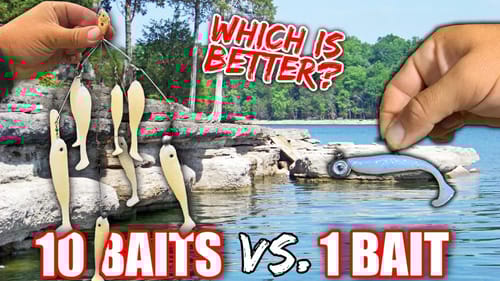 FISHING EXPERIMENT: Are 10 Baits BETTER than 1??? (Surprising Results)