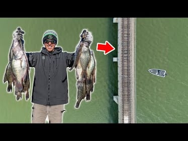 I found Thousands of Crappie Under this Bridge! How to Make them Bite?