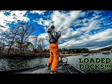 Shallow DOCKS Are LOADED With AGGRESSIVE BASS!!!