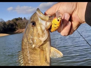 KAYAK BASS FISHING CHEROKEE LAKE    ||THINGS GOT SKETCHY||