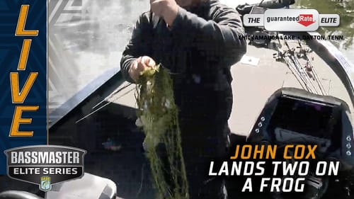 Cox catches two on a frog at Chickamauga