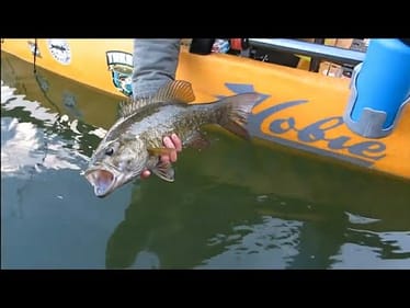 HE CAUGHT HIS PB     || TNKATT ONLINE TOURNAMENT || FINAL DAY TO UPGRADE