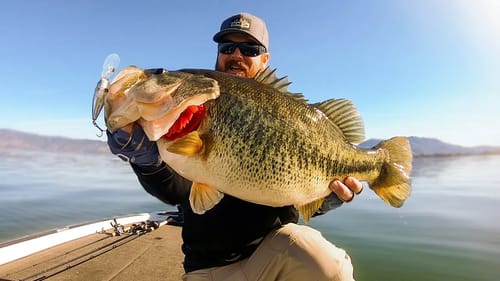 Did He Catch A 10 lb Bass?? Spring Crankbait Bass Fishing!!!
