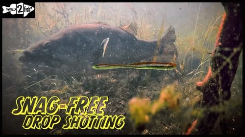 2 Ways to Reduce Snags When Drop Shot Fishing