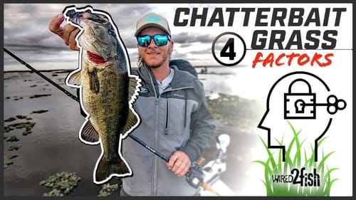 4 Tips to Boost ChatterBait Fishing Success Around Grass