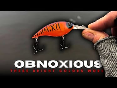 These Obnoxiously Bright Colors Are Not Just For Muddy Water Conditions! 