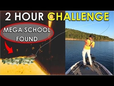 2 Hour Challenge: Mega Bass School Found Summer Fishing