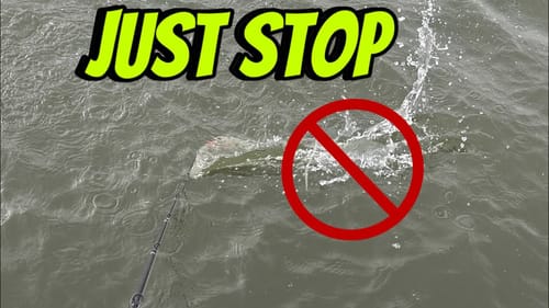 The WORST Thing Most Anglers Do To Spook Bass…