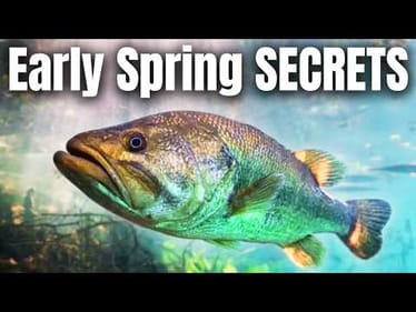 EARLY Spring Bass SECRETS The PROS Don't Want You To Know