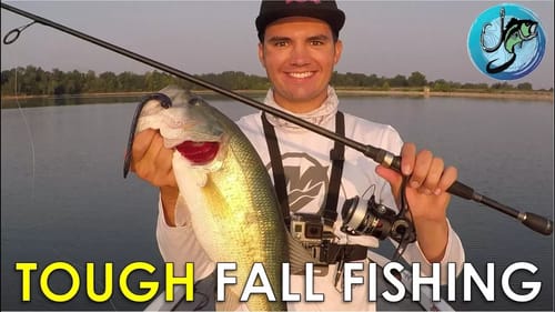 How To Make Inactive Fall Bass Bite! | Fall Fishing Tips