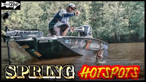 Where to Target Reservoir Bass Around the Spawn