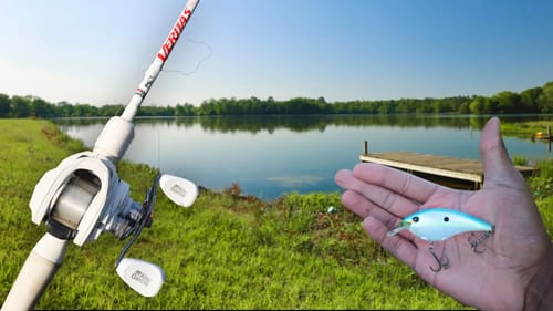 Fishing RESIDENTIAL PONDS For BIG BASS (LOTS OF FISH)