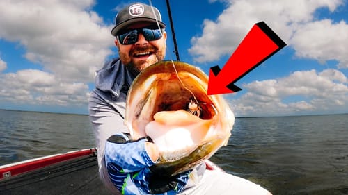 Chatterbait And Swim Jig Tricks For Summer Bass!