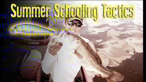 Fishing Tips for Summer Schooling Bass