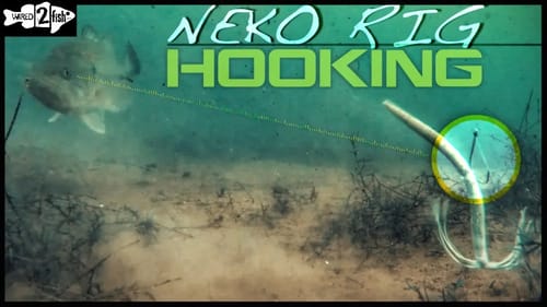 Why Vary Your Neko Rig Hook Placement