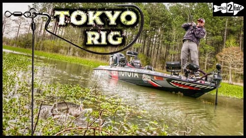 Tokyo Rig Fishing: 5 Benefits Over Texas Rigging