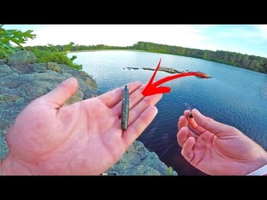 My Favorite $1 Lure ALWAYS Gets Bit -- (Secret Lake Fishing)