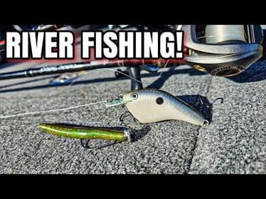 Catching Fall River Fish (I LOVE THESE!)