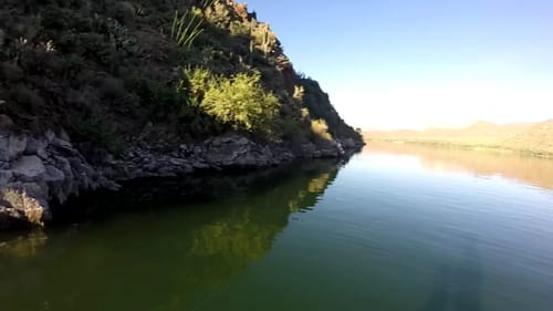 Insane Early Morning Topwater Bass Fishing