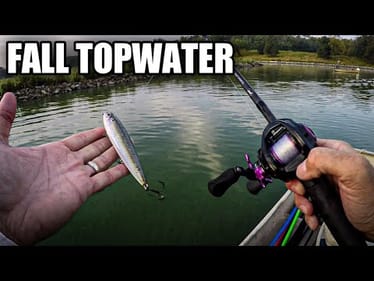 Topwater Fishing for Fall Bass (KVD Sexy Dawg Walking Bait)
