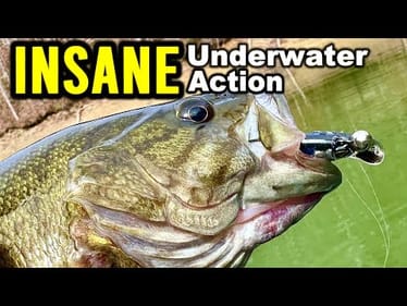 I Thought This Was Just a Jig head Minnow… Until I Saw It Underwater!