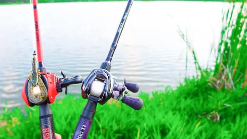 CHEAP vs EXPENSIVE Fishing Combo (GIANT BASS)