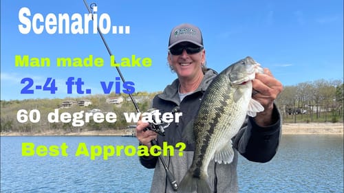 Fishing Situation...Spring/Water Visibility 2-4 Feet/ 60 Degree Water/ Best Approach??