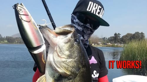 Roman Made Mother $500 Glide Bait Fishing before it was Trendy