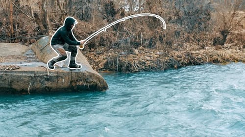 It's ILLEGAL to keep the Fish in this TINY CREEK!?! (New PB!)