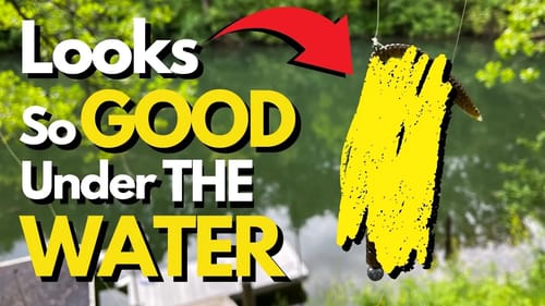 The Bungee Jumper Rig: What You Need to Know