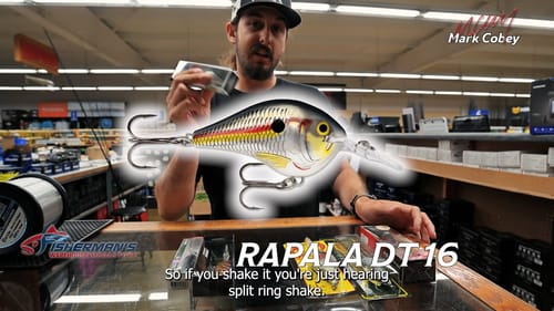 FISHING: ALPHA!!  BASS PRO MARK COBEY TALKS CRANKBAITS!!