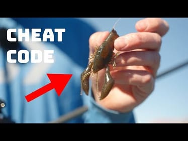 This Is The Last Lure You Need To Catch Smallmouth Year Round!