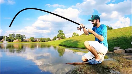UNEXPECTED MONSTER in TINY URBAN POND!!