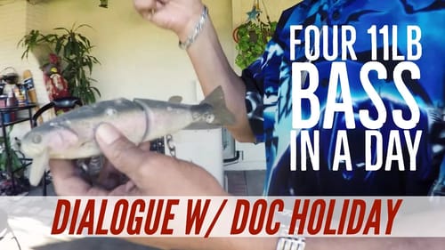 Four 11lb bass in the same day - Lazy the Swimbait with Doc Holiday