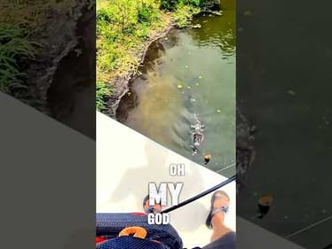 This Gator Was Inches from My Catch…