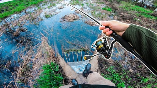 Flooded Field Fishing For CLEAR Water Bass + (NEW BOAT)