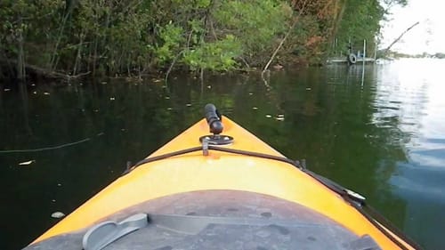 Topwater Bass 7-3-2011