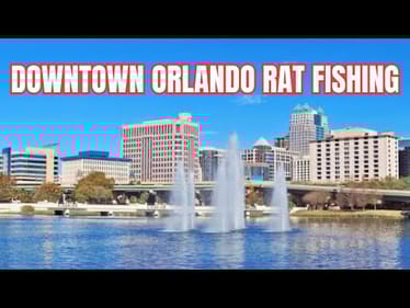 BASS FISHIN WITH RATS IN DOWNTOWN ORLANDO, FLORIDA (Ft Sacpigbaitco Mischief 1-piece) | LAKE LUCERNE