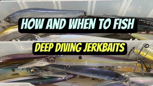 Why You Are Missing Out Not Fishing Deep Diving Jerkbaits