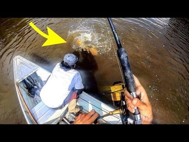 The most INSANE CATFISH I’ve EVER SEEN!