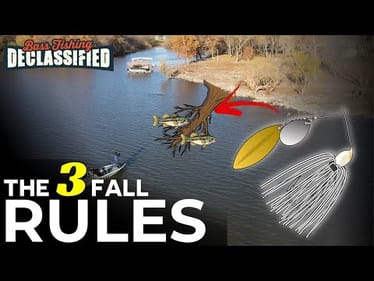 15 Years of Fall Spinnerbait Fishing Taught Me This...