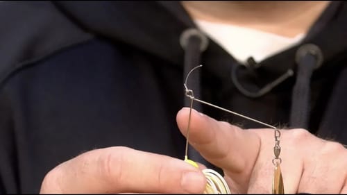 Bill Lowen's Go-To Spinnerbait setup